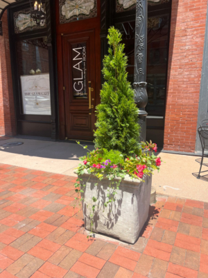 Downtown Businesses like The Glam Room are Blooming